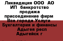 Ликвидация ООО, АО, ИП, банкротство, продажа, присоединение фирм - Все города Услуги » Бухгалтерия и финансы   . Адыгея респ.,Адыгейск г.